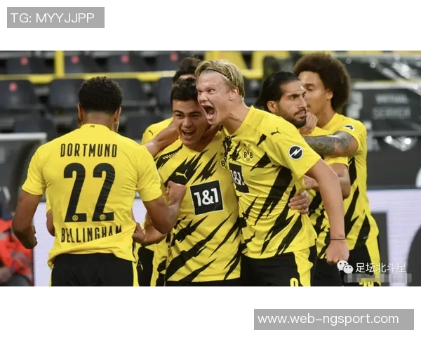 布林狮子迎战墨尔本骑士精彩对决即将上演球迷热情高涨期待胜利之战